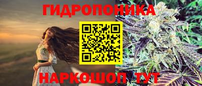 прущие крисы Азнакаево
