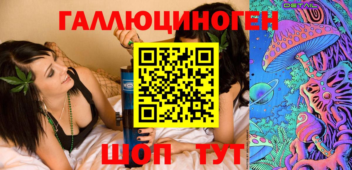 Александров  Псилоцибиновые грибы Psilocybine cubensis  Вход с VPN 