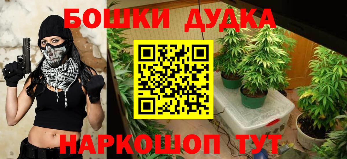 Марихуана OG Kush Александров